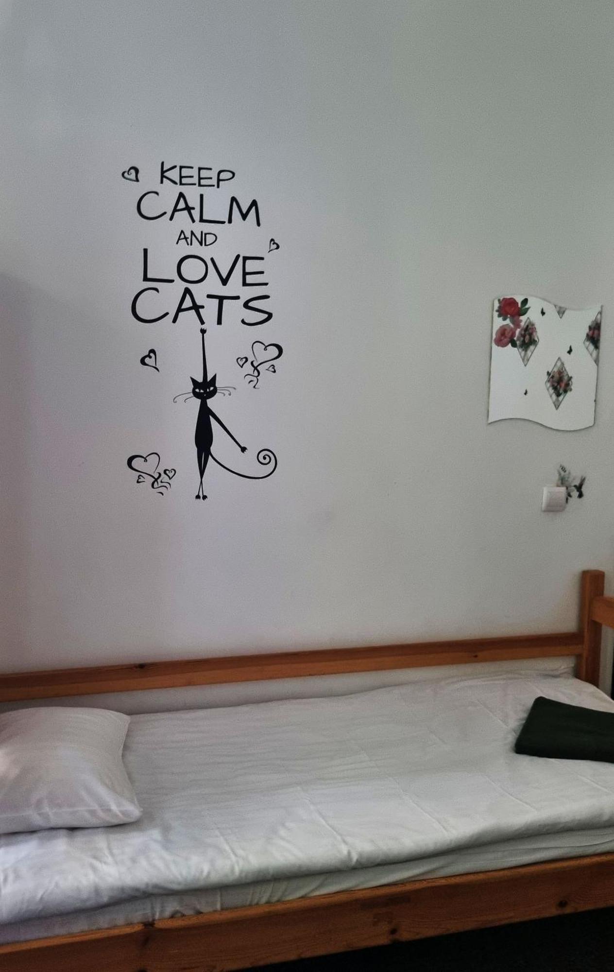 Cat Hostel
