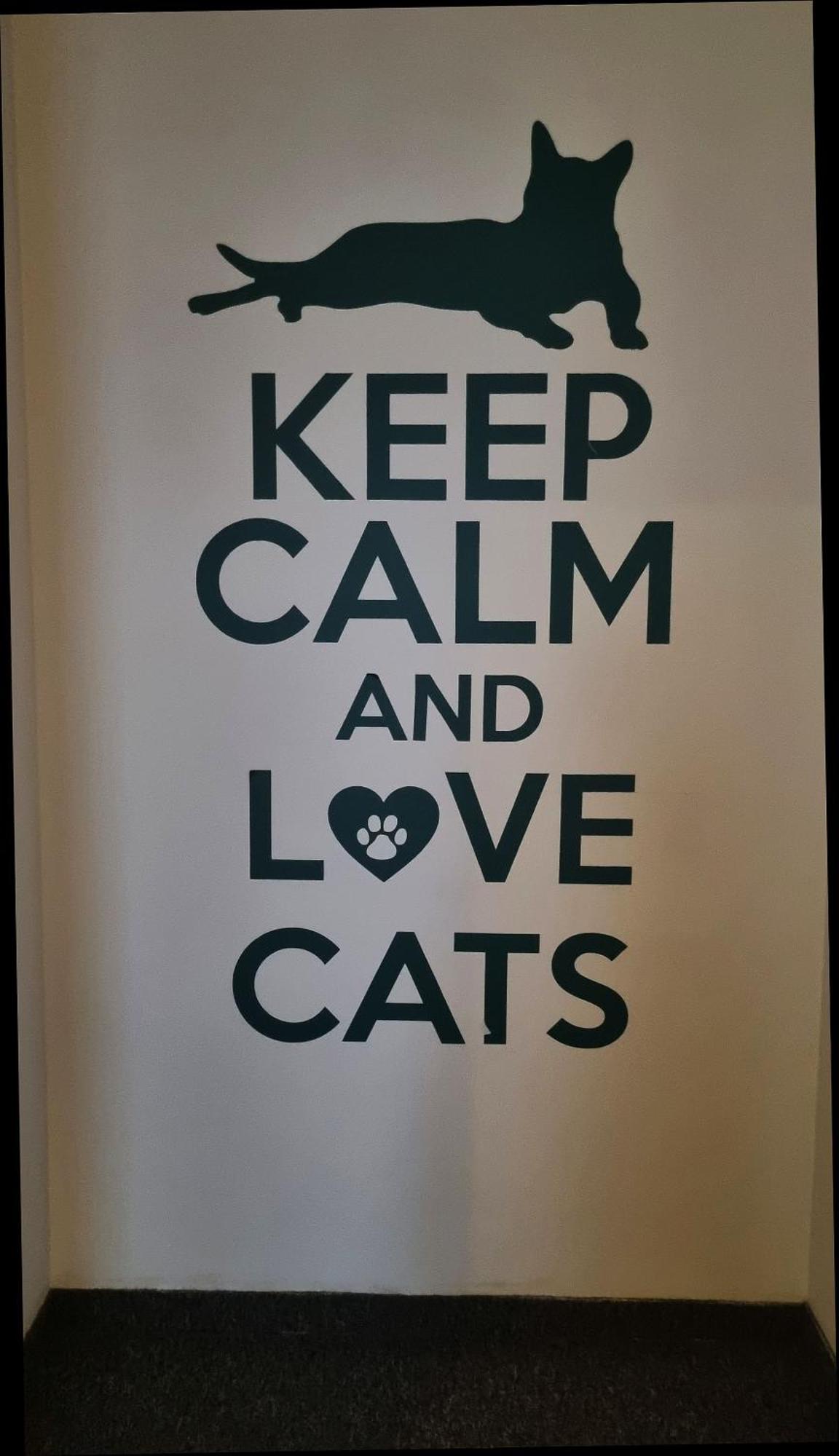 Cat Hostel *