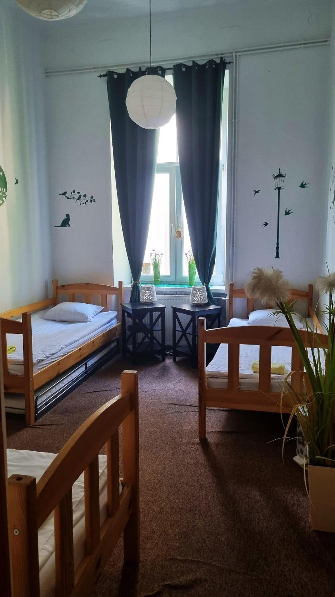 Cat Hostel