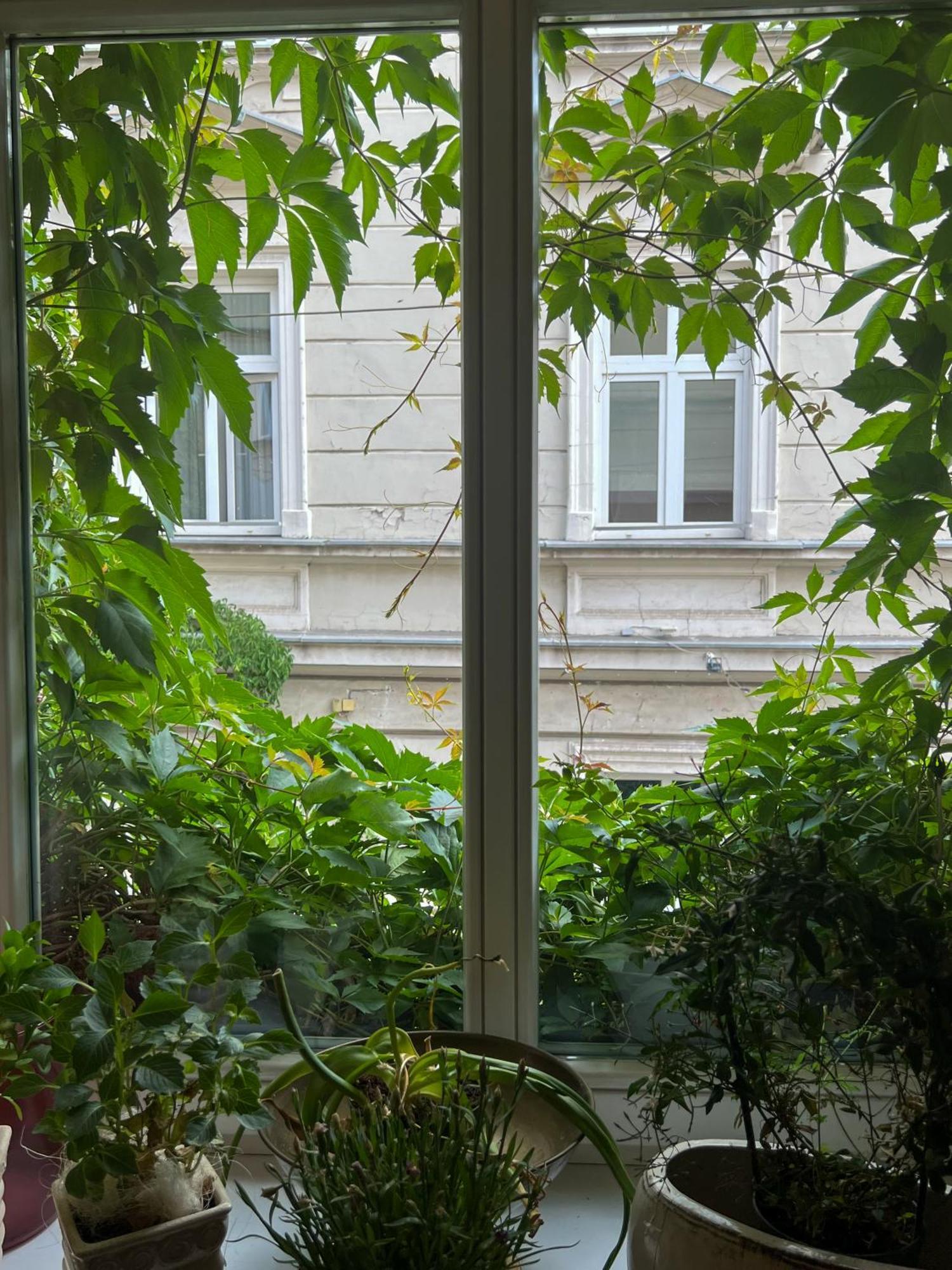 Hotel Karmel