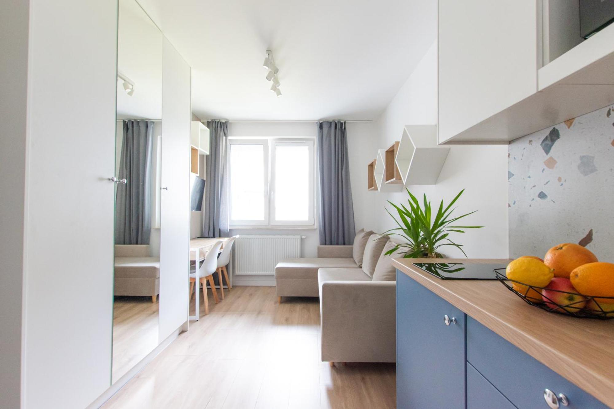 Apartment Meiera