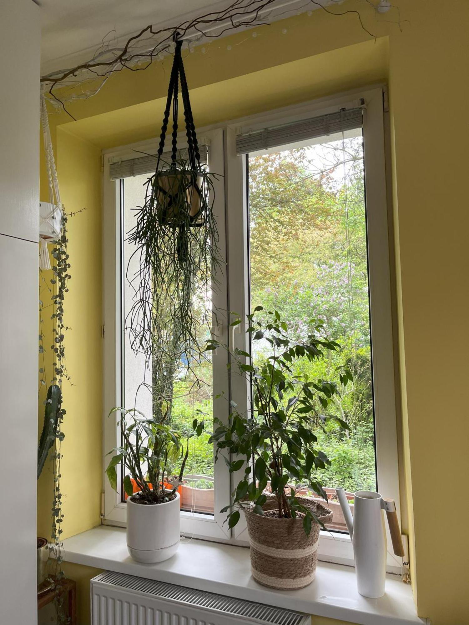 Greenthumb Praska Apartment