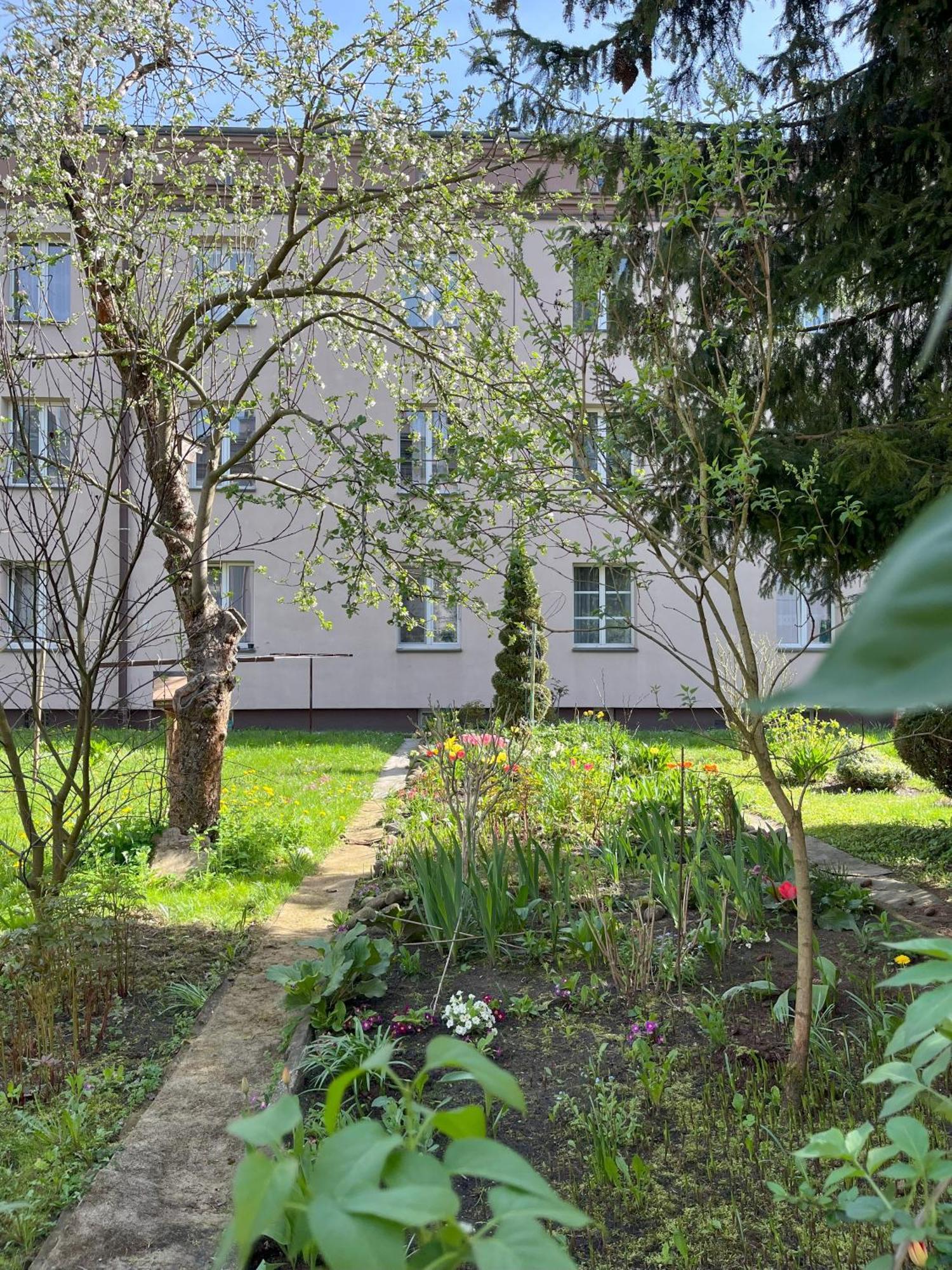 Apartment Greenthumb Praska *