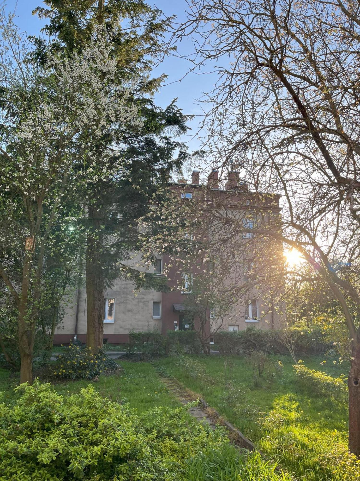 Apartment Greenthumb Praska Krakow