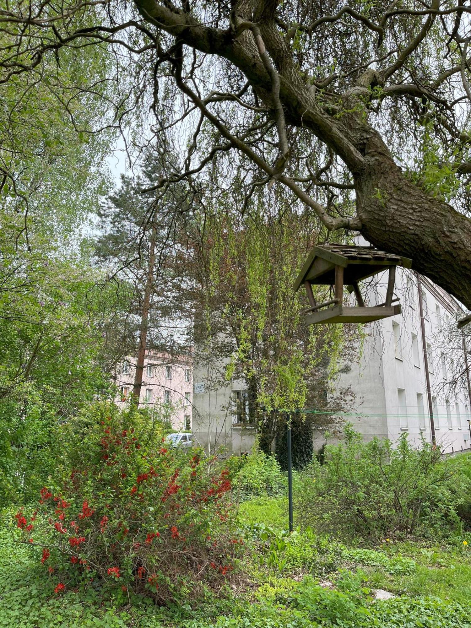 Greenthumb Praska Apartment