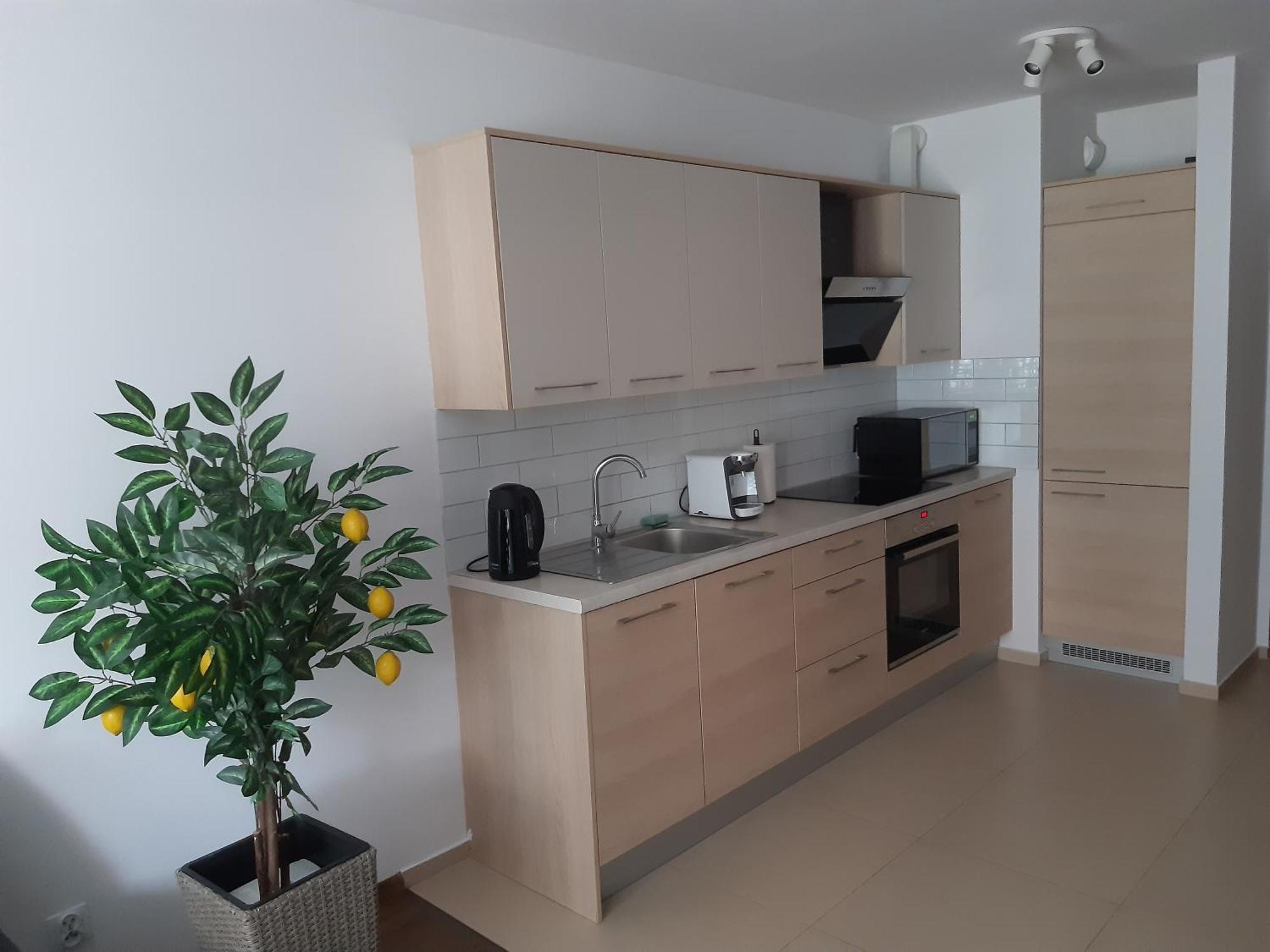 Appartement Apollo Zablocie 21 *