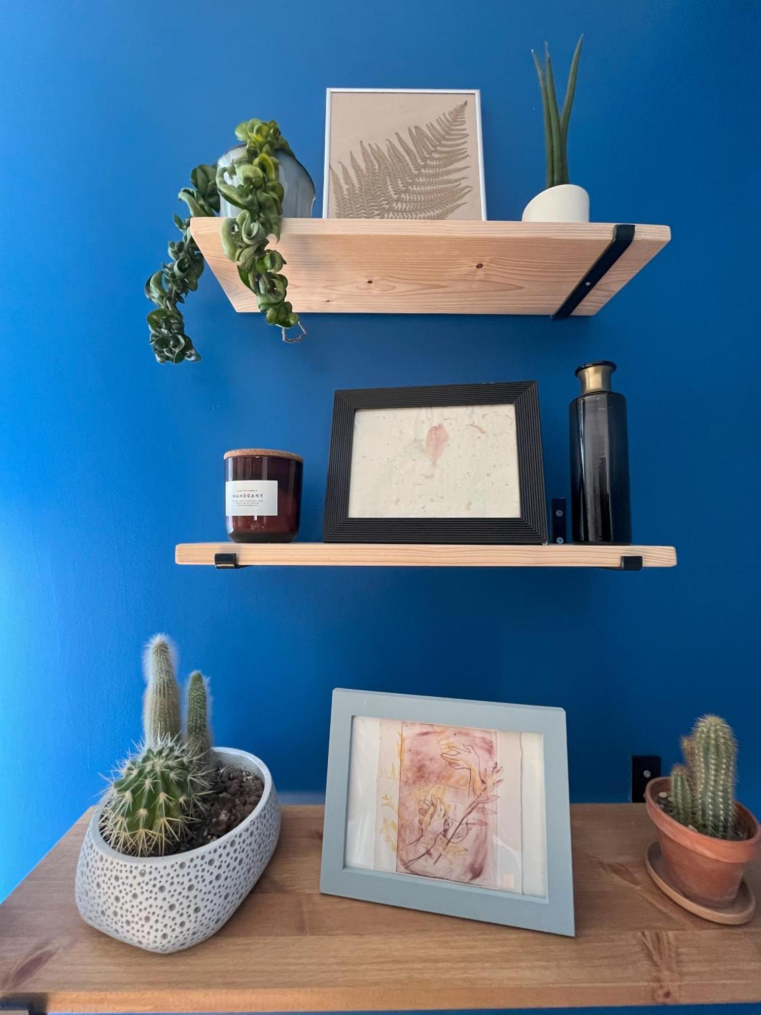 Apartment Greenthumb Praska