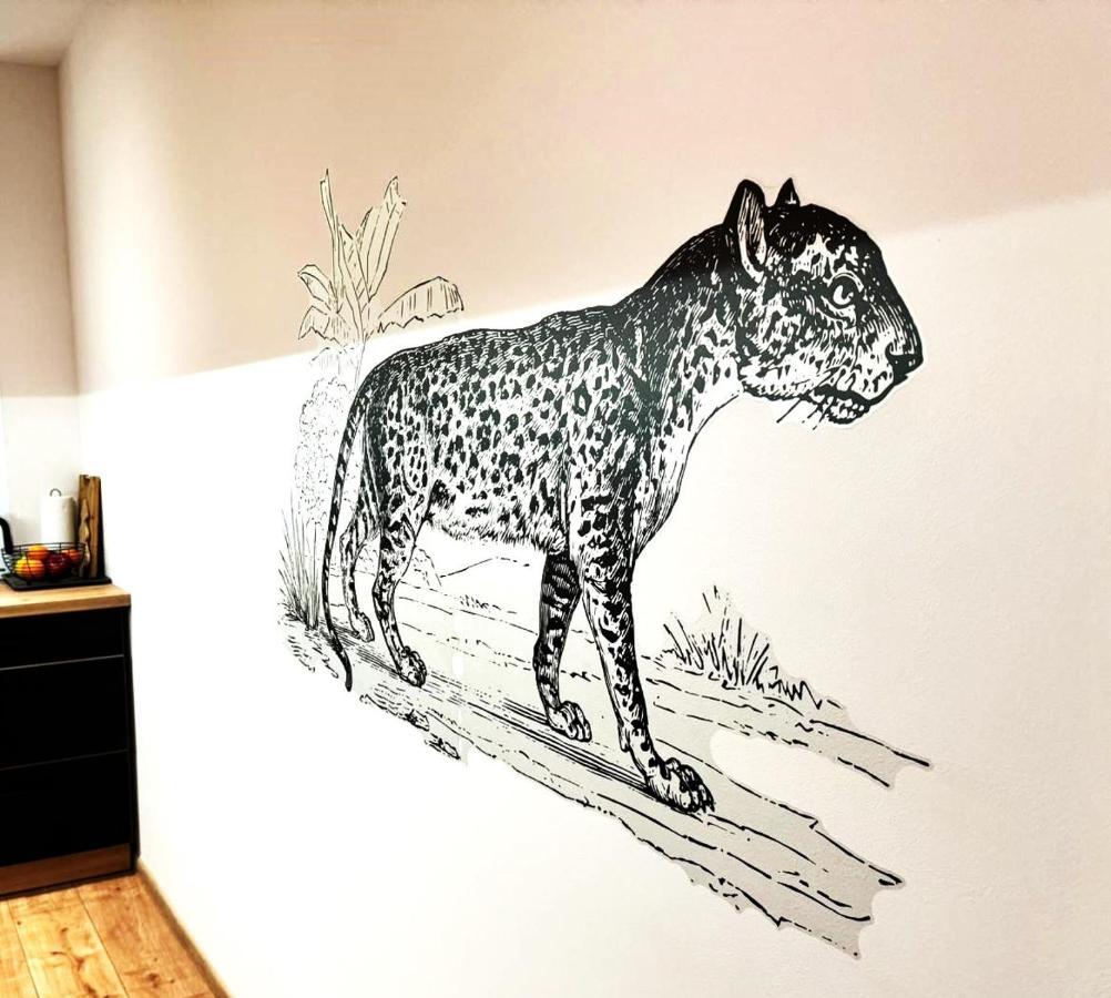 Tiger Krakow