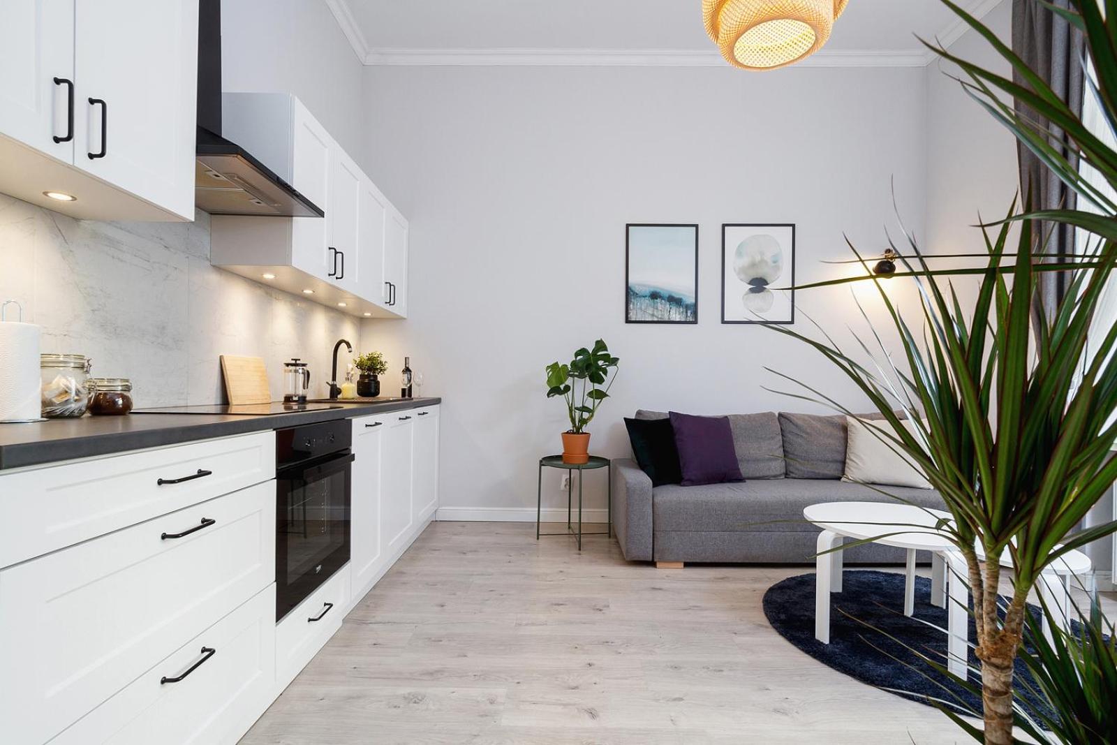 1 Bedroom - Kazimierz - Starowislna 36 Apartament *