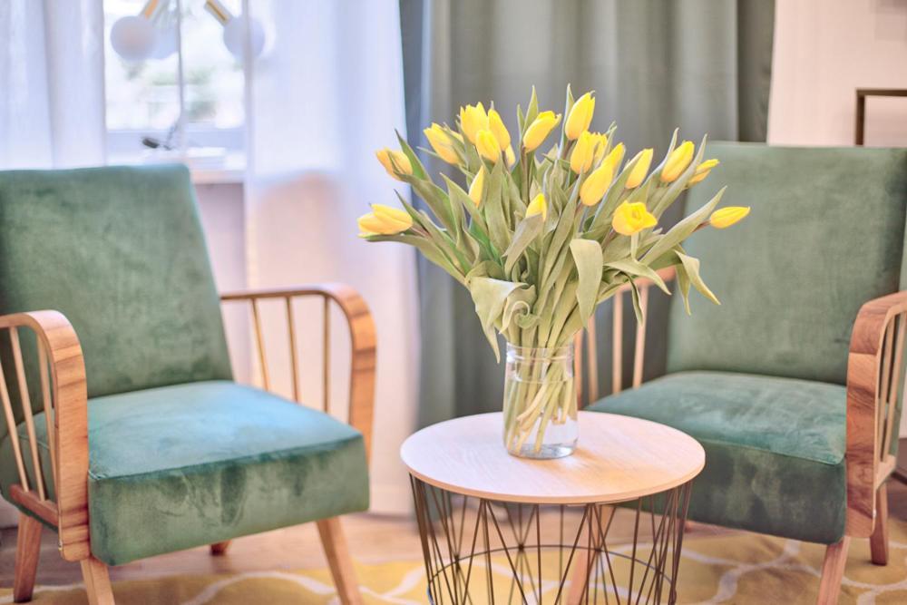 Apartment Tyzenhauz Comfort