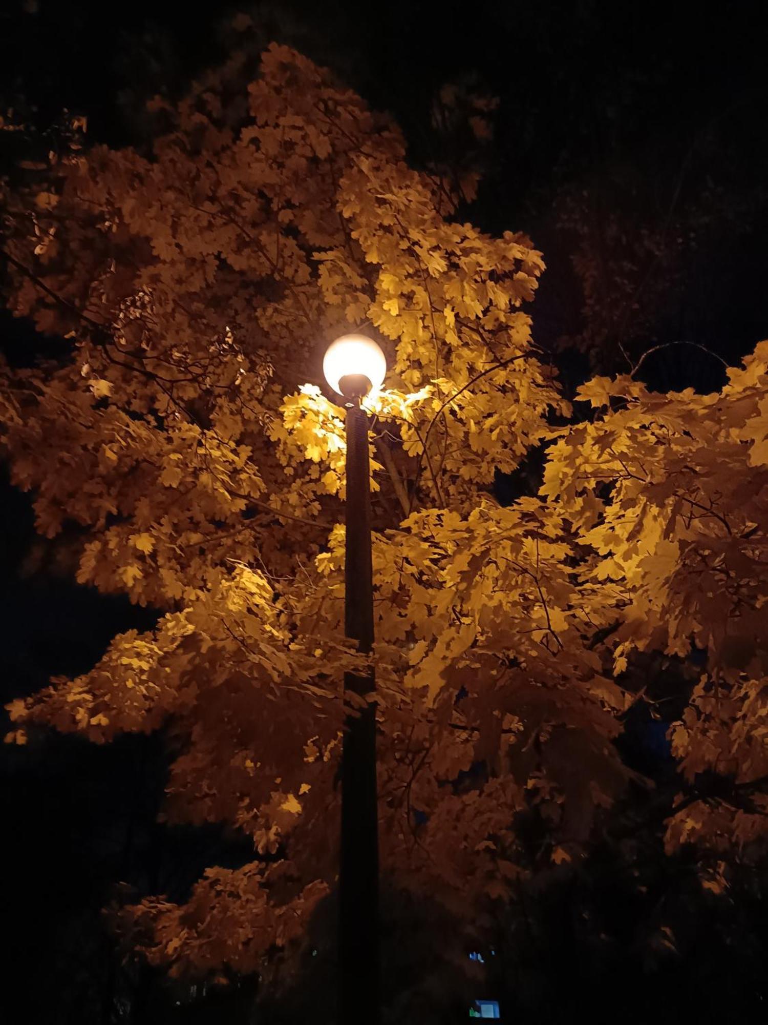Przytulnie W Domu Pensjonat Kraków