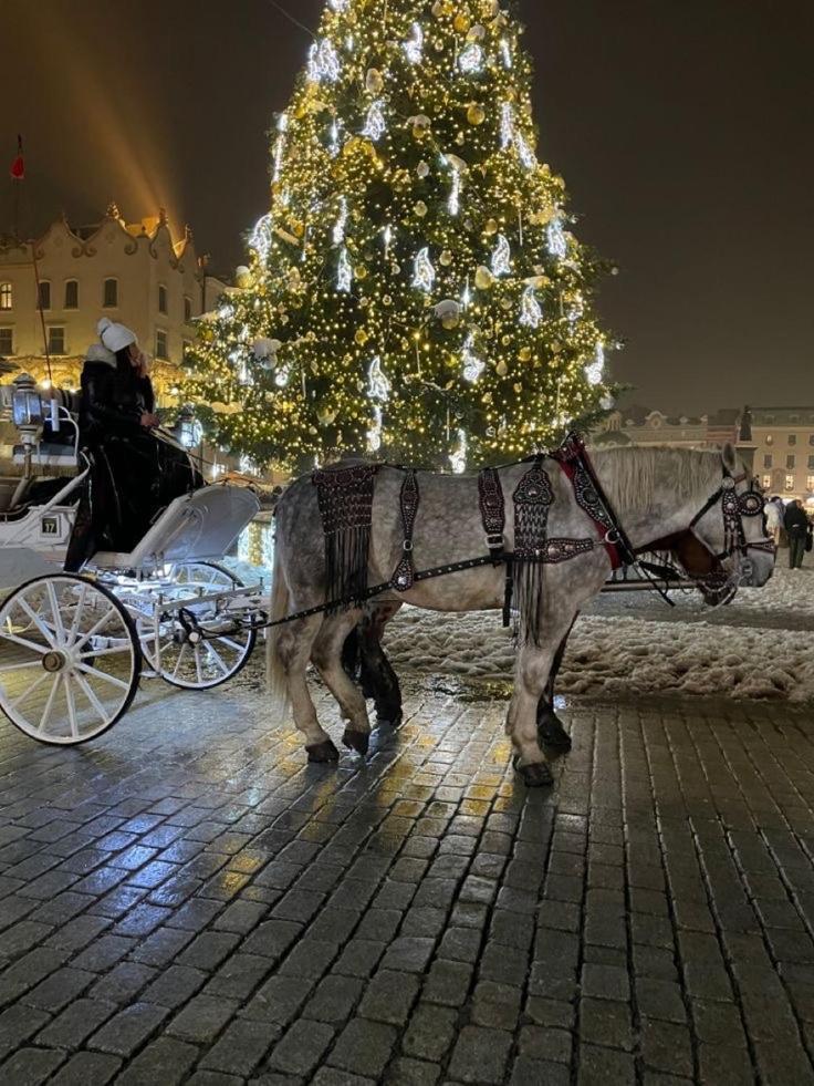 Pszczelna * Cracóvia