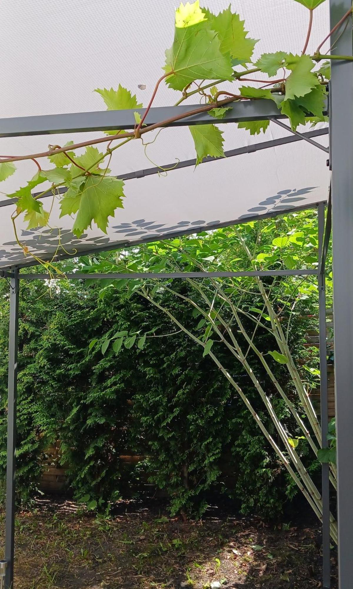 Apartment Centrum Krakowa, Z Ogrodem I Parkingiem Krakow