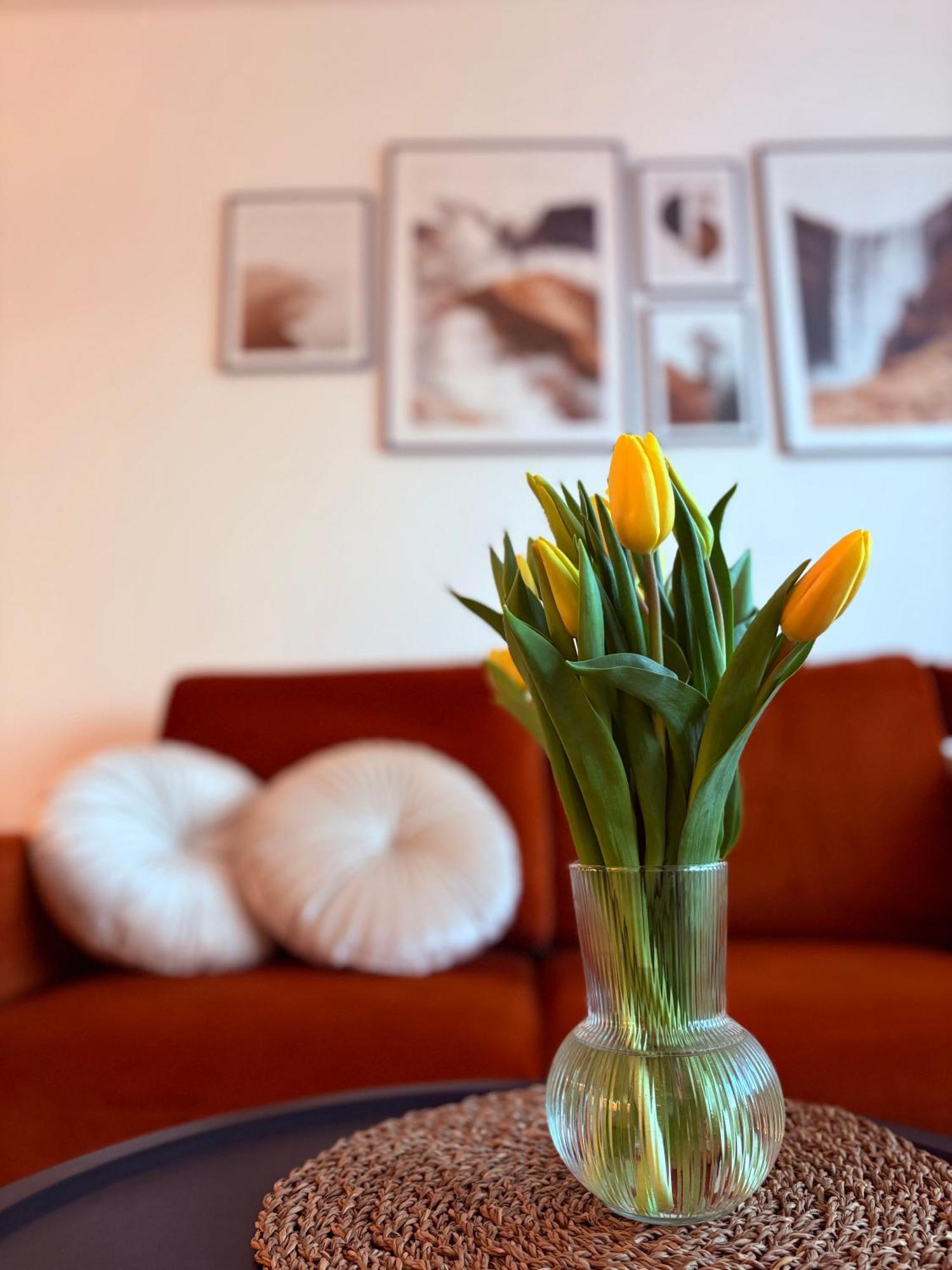Apartment Nowy Biezanow Krakow