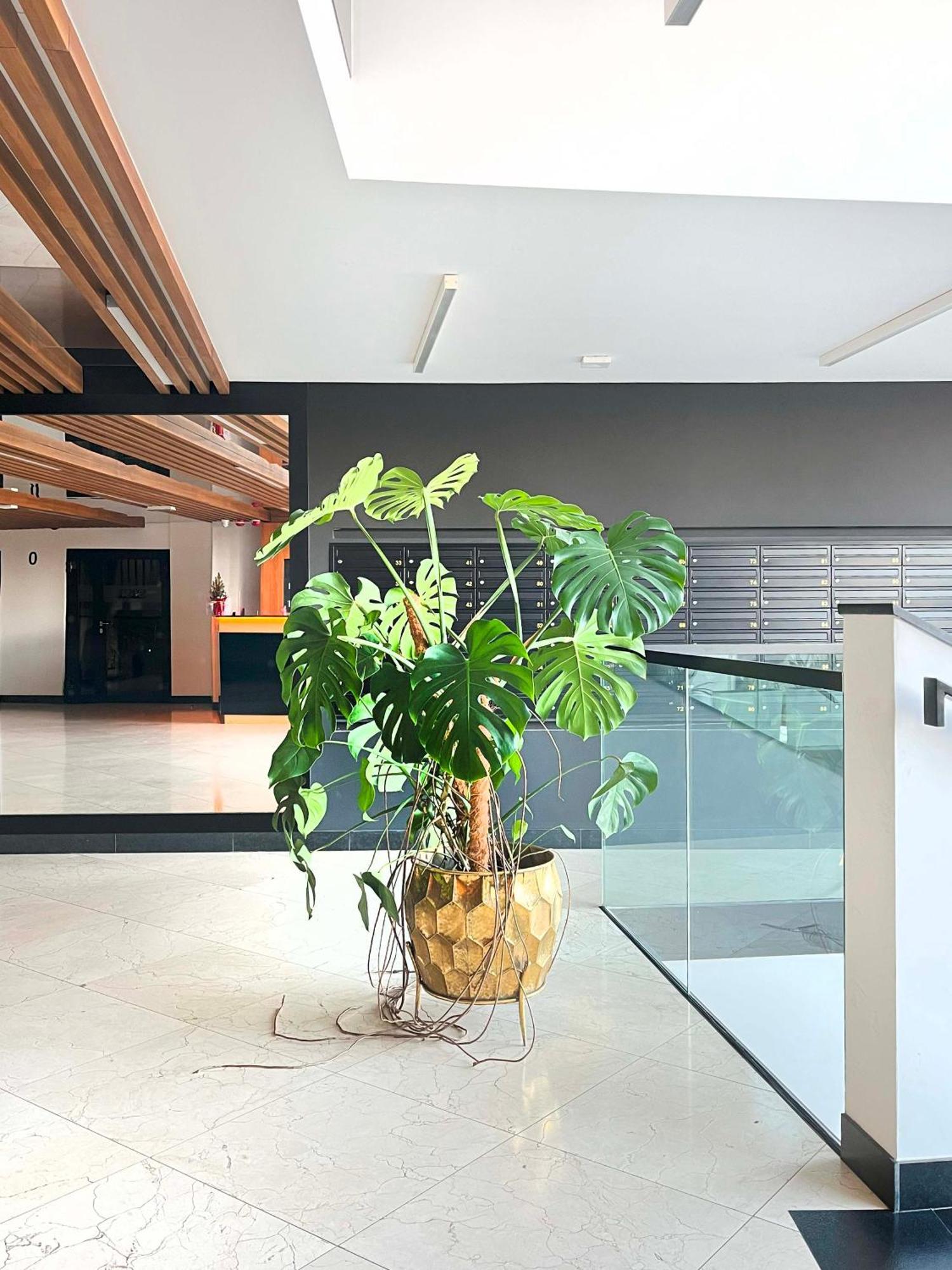 Apartment With Terrace And Two Bedrooms, Cracow Vistula Boulevards