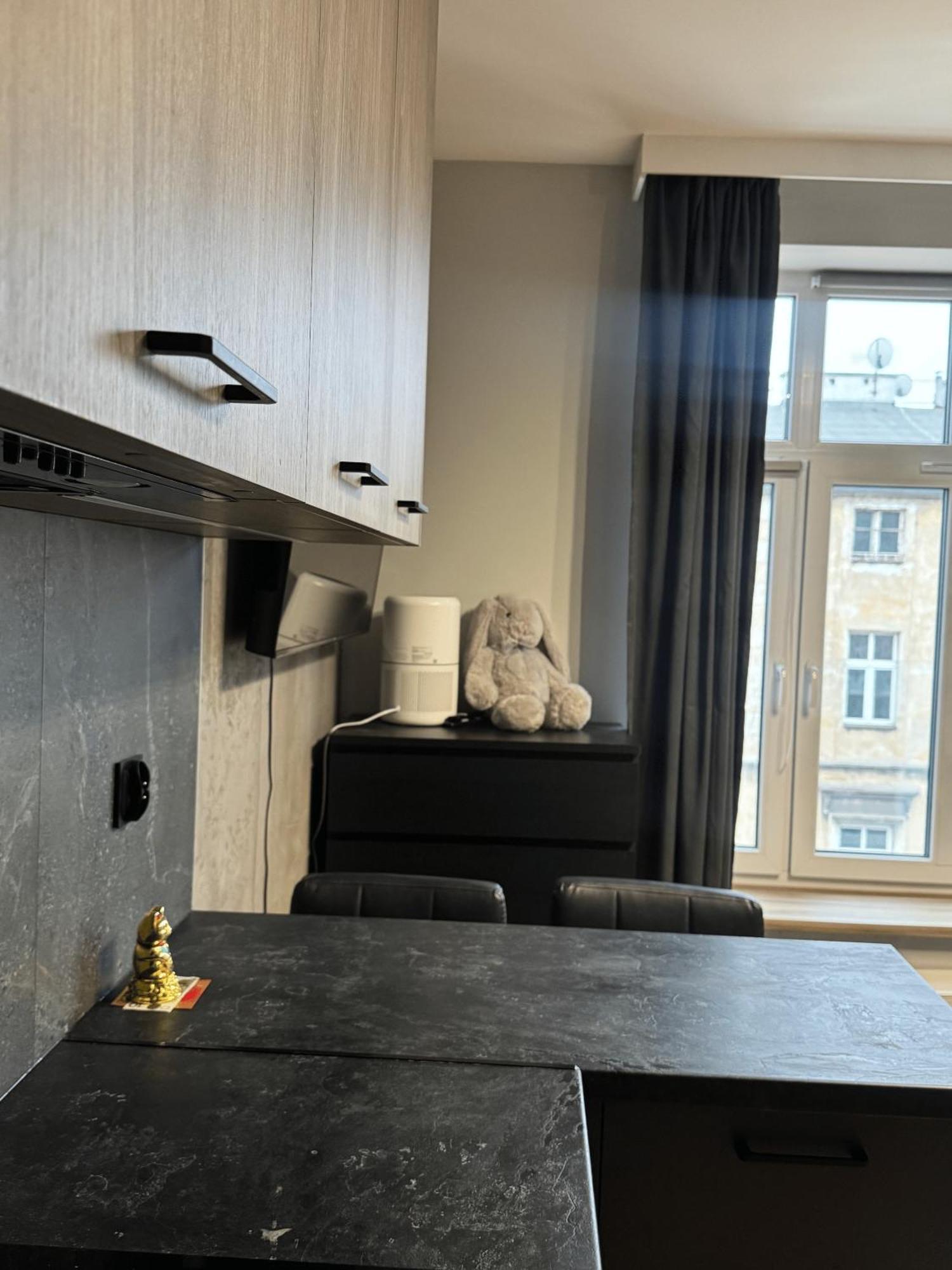 Apartment Elegant Apartment, Kazimierz, *