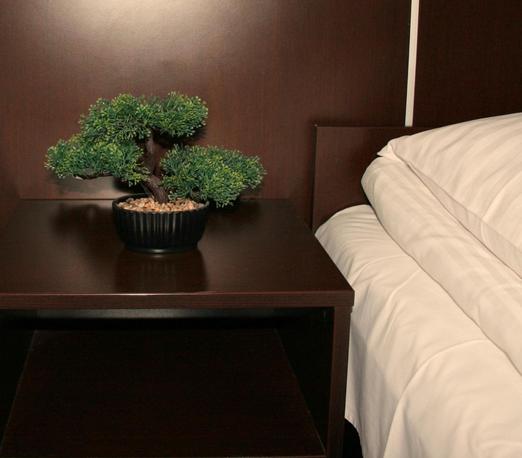 Junior 2 Hotel 3*