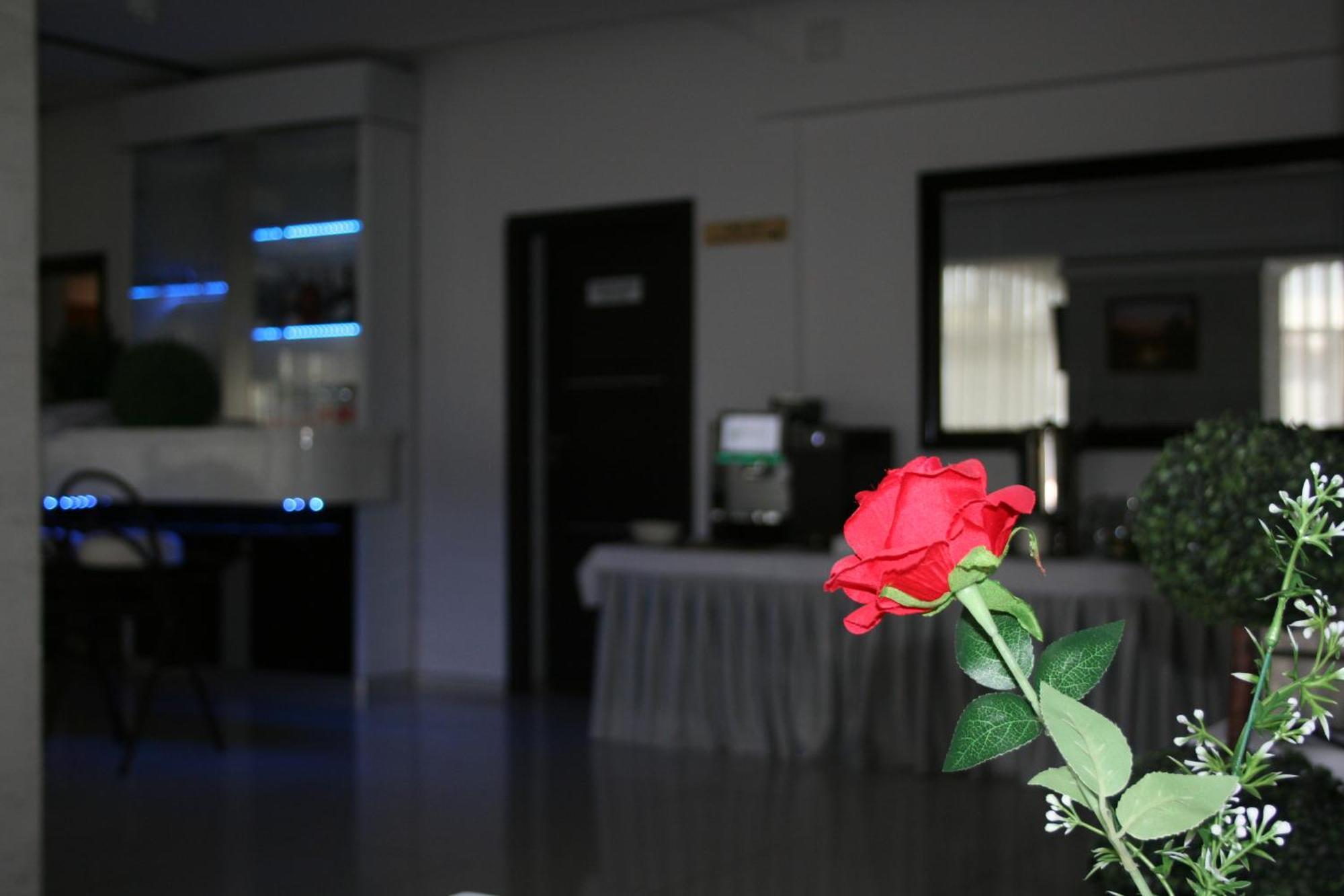 Hotel Junior 2 3*
