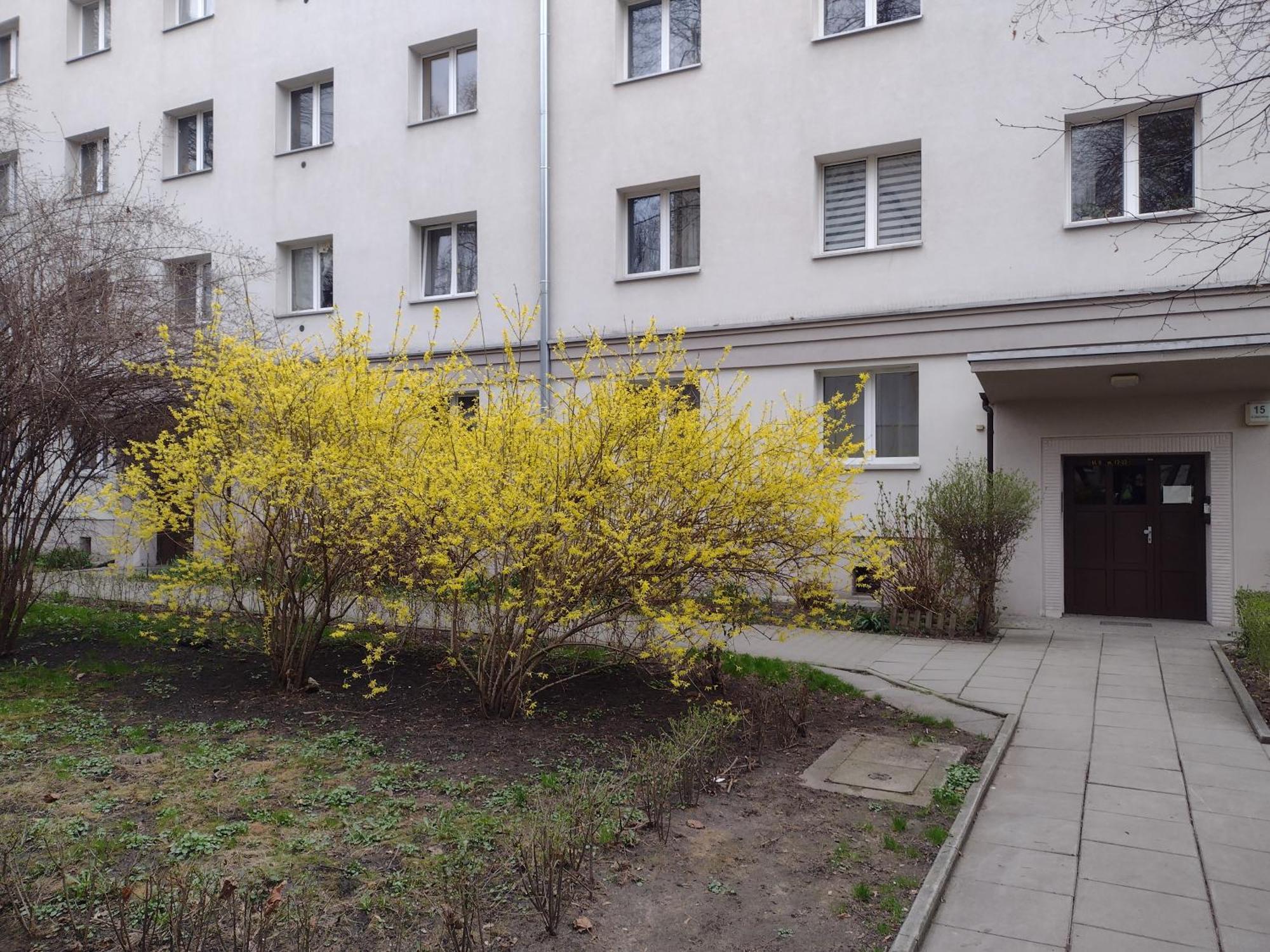 Apartamento Cracowapart Ignacio A *