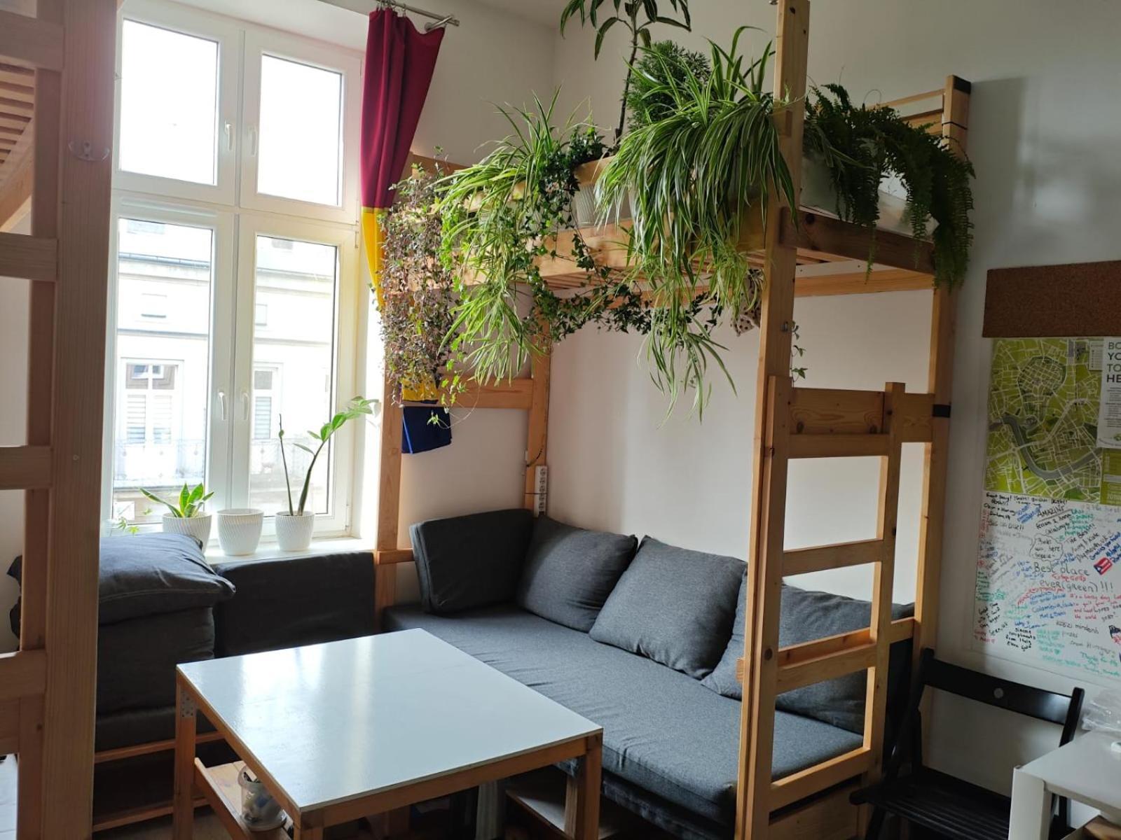 Hostel Evergreen