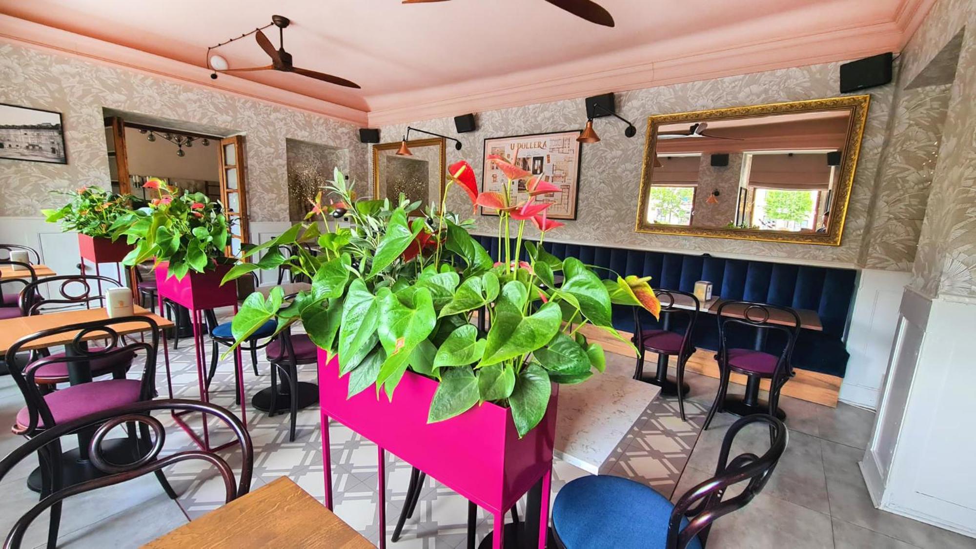 Pollera Hotel