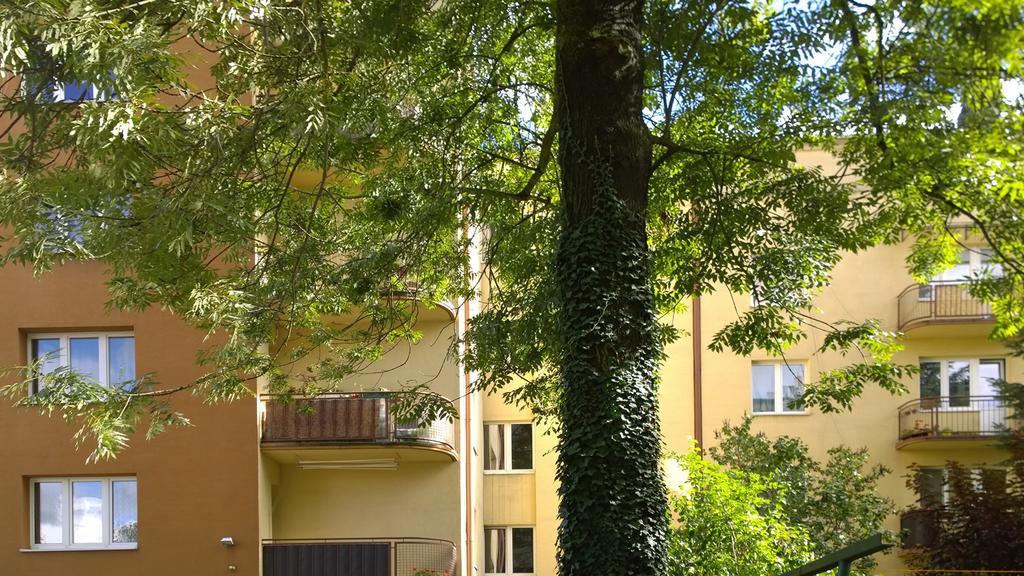 W Krakowie * Krakau