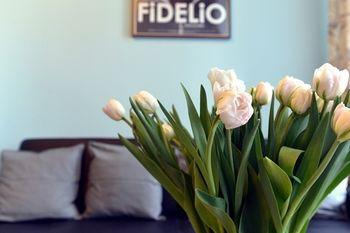 Aparthotel Ingo 3*