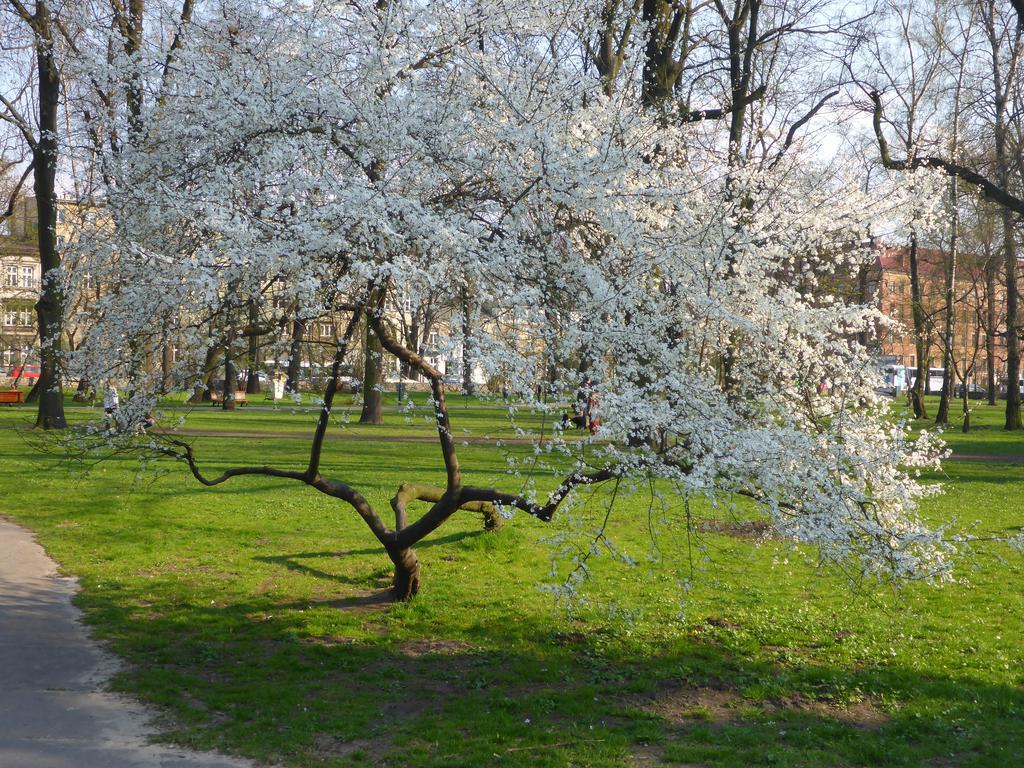 Apartment Garden Krakow