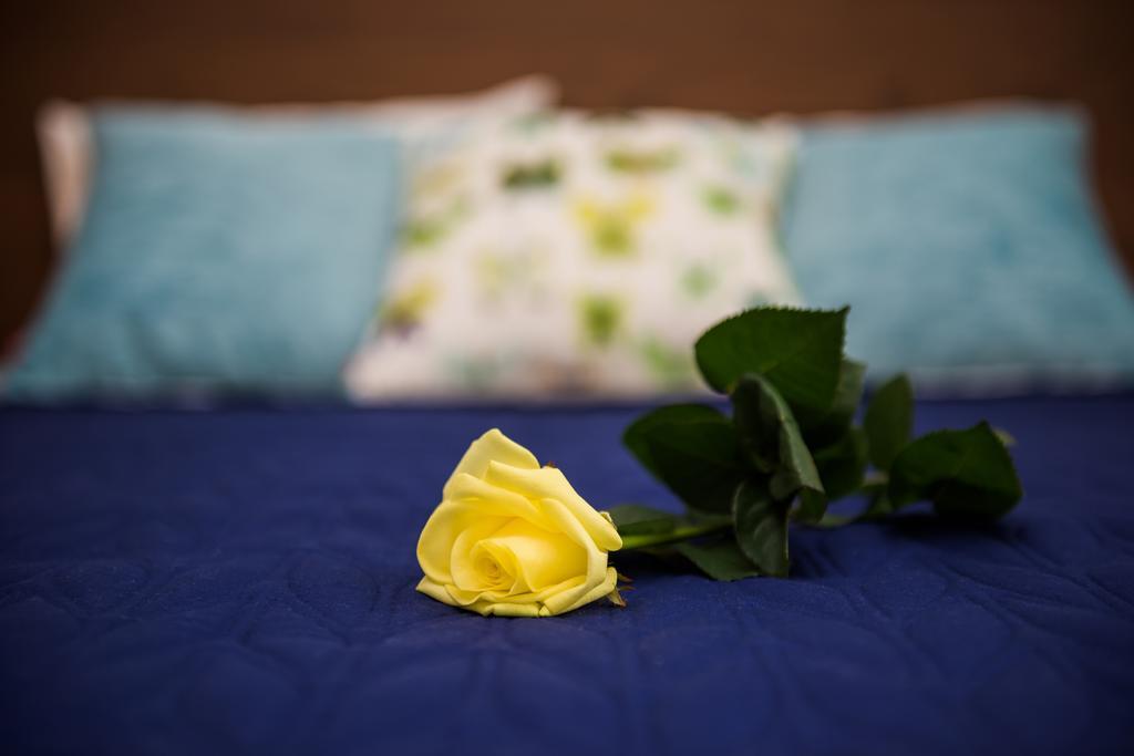 Apartment Insom Cracow Old Town Krotka *