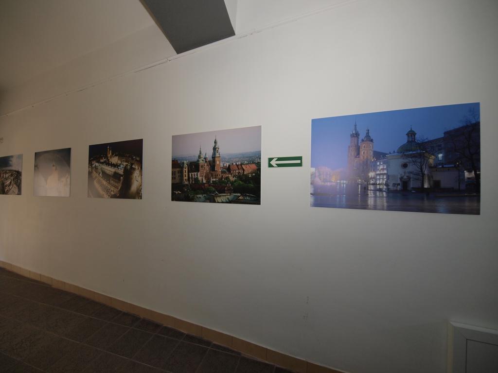 Ingo 3* Krakow