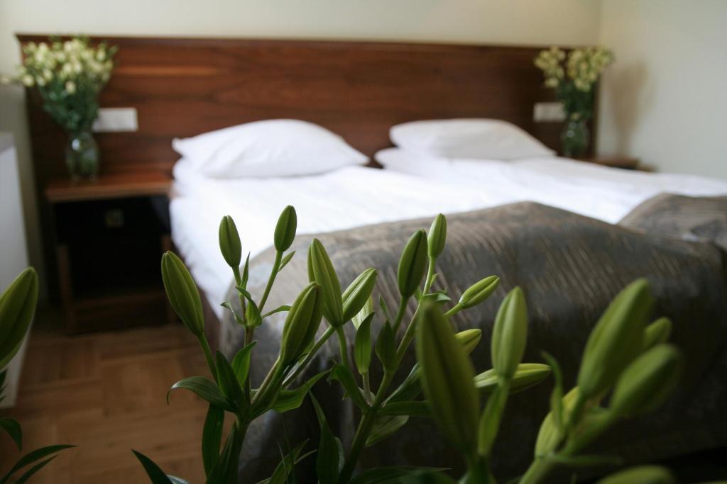 Julia Guest house *