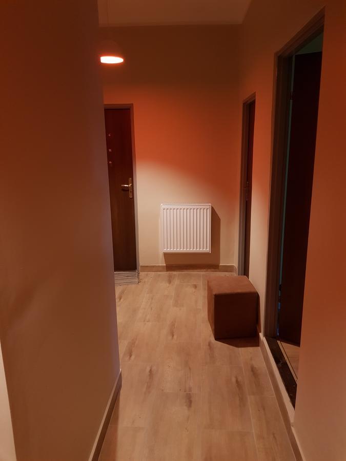 Kaktus Krakau