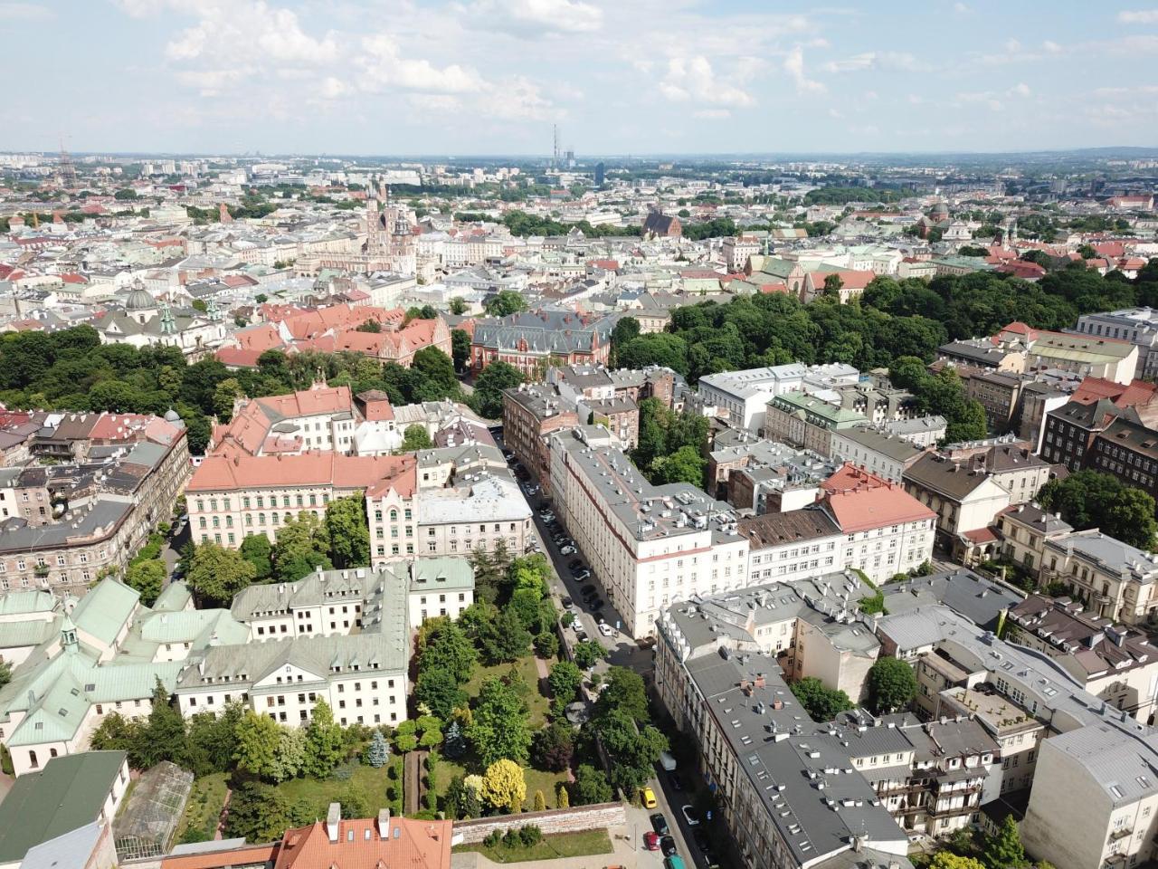 Czapskich Apartamento *