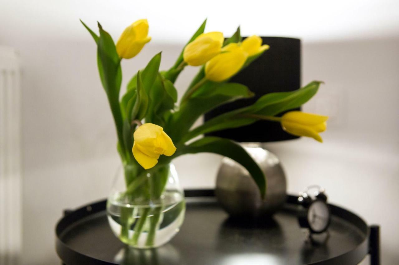 Apartament Stary Go