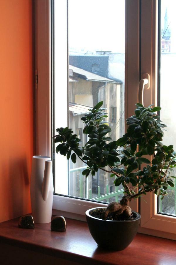 Apartament Stare Podgorze Apartment