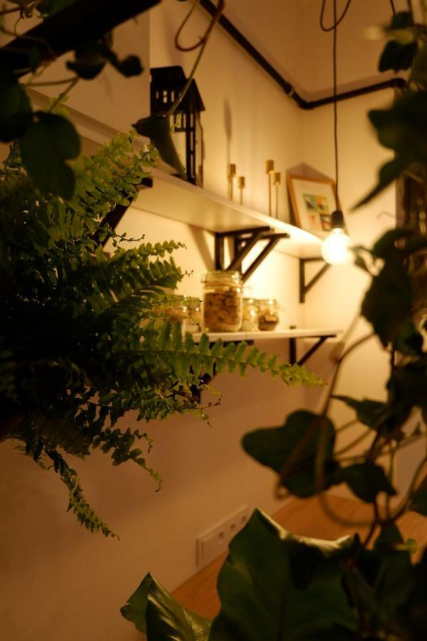 Apartament Singer Old Town *