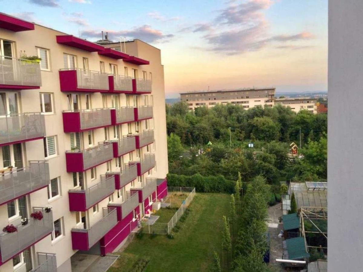Apartament Luxury Oasis śródmieście Downtown 3 Os