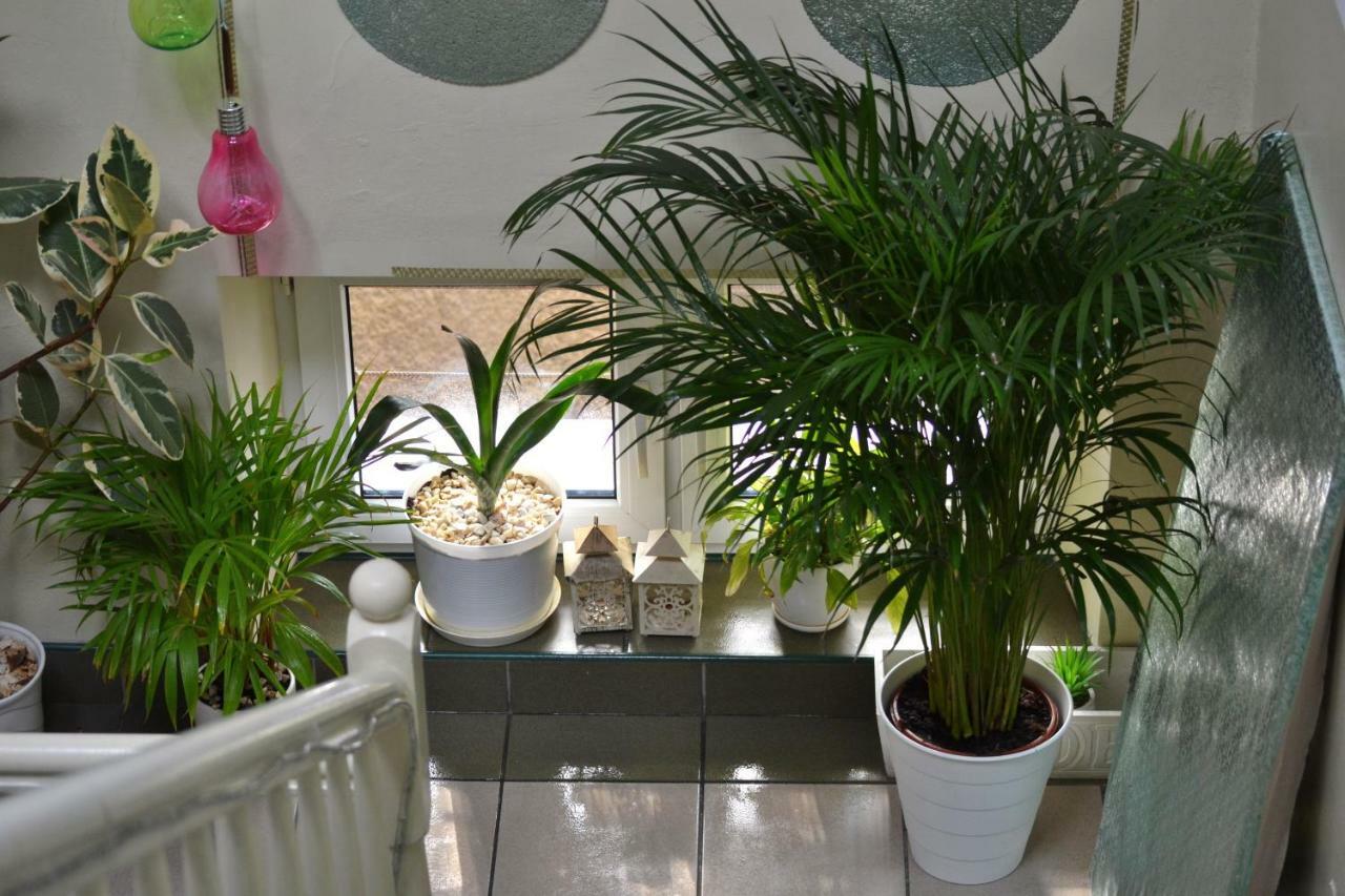 Appartement Akwarela Ii *