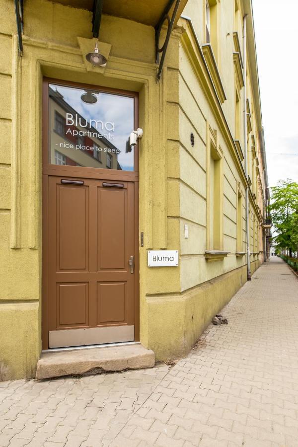 Bluma Krakau