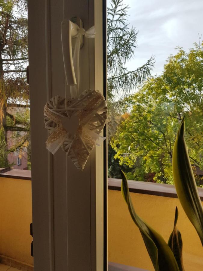Apartment Mieszkanie W Centrum Krakowa Krakow