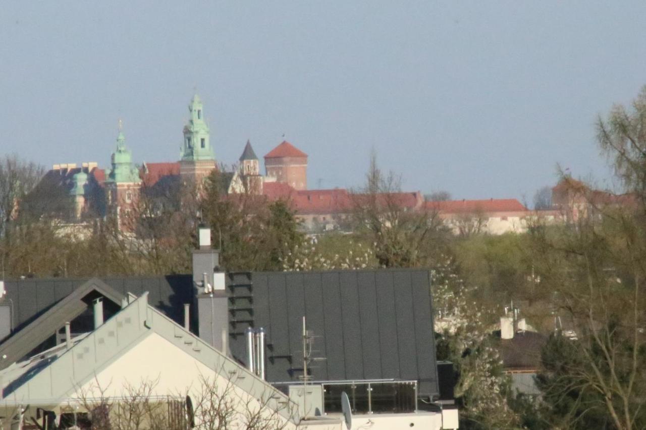 Daisy Superior Krakau