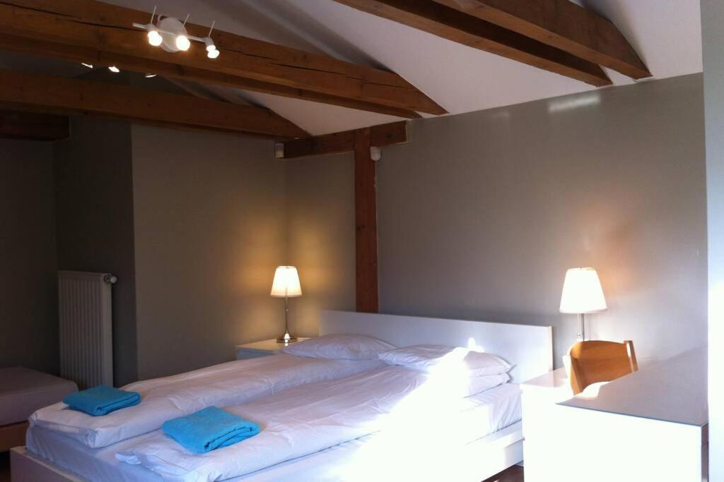 Apartment Florianska Penthouse Delux
