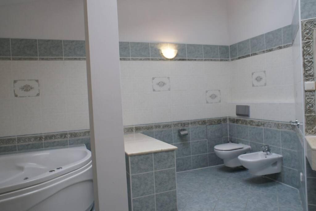 Apartment Florianska Penthouse Delux Krakow