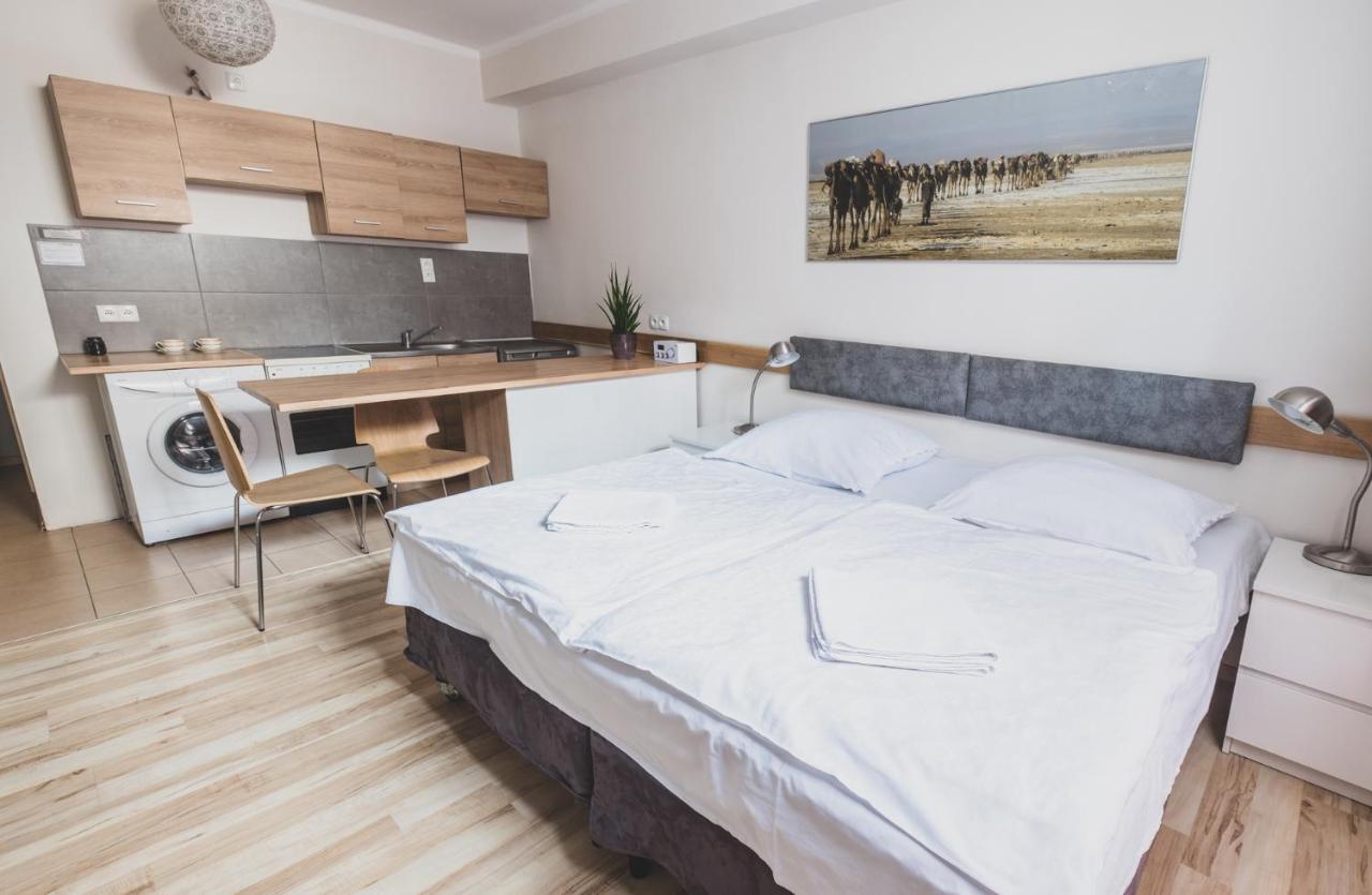 Cybulskiego Guest