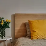 Alpari Apartments