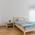 Comfy And Bright - Old Town