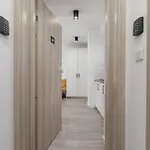 Studio Miodowa Krakow Kazimierz By Renters