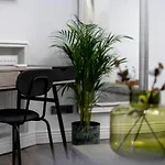 Malila Premium Apartments Cracow Centre Starowislna 43