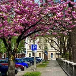 Krakow Central Apartments