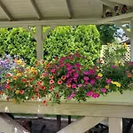 Hidden Gem Garden